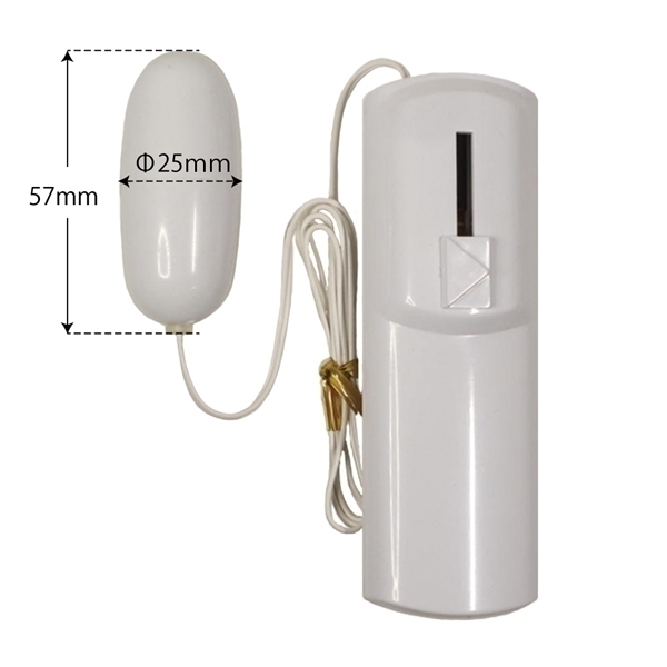 yVVO~ʌzu[GbO[^[@zCgllP_聄